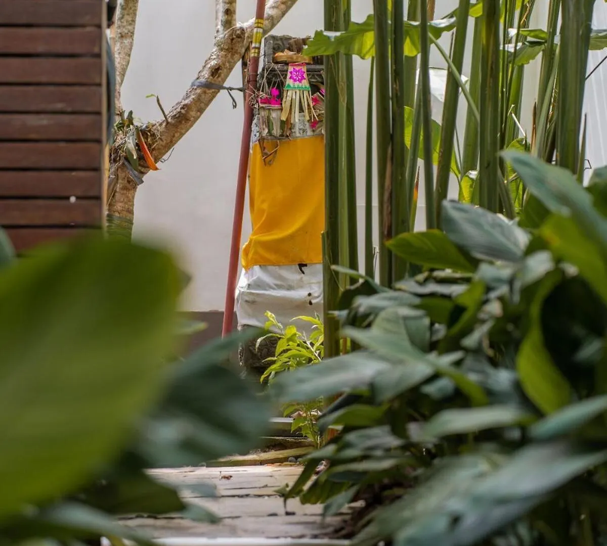 Noco Luxury Villa Seminyak 0*,